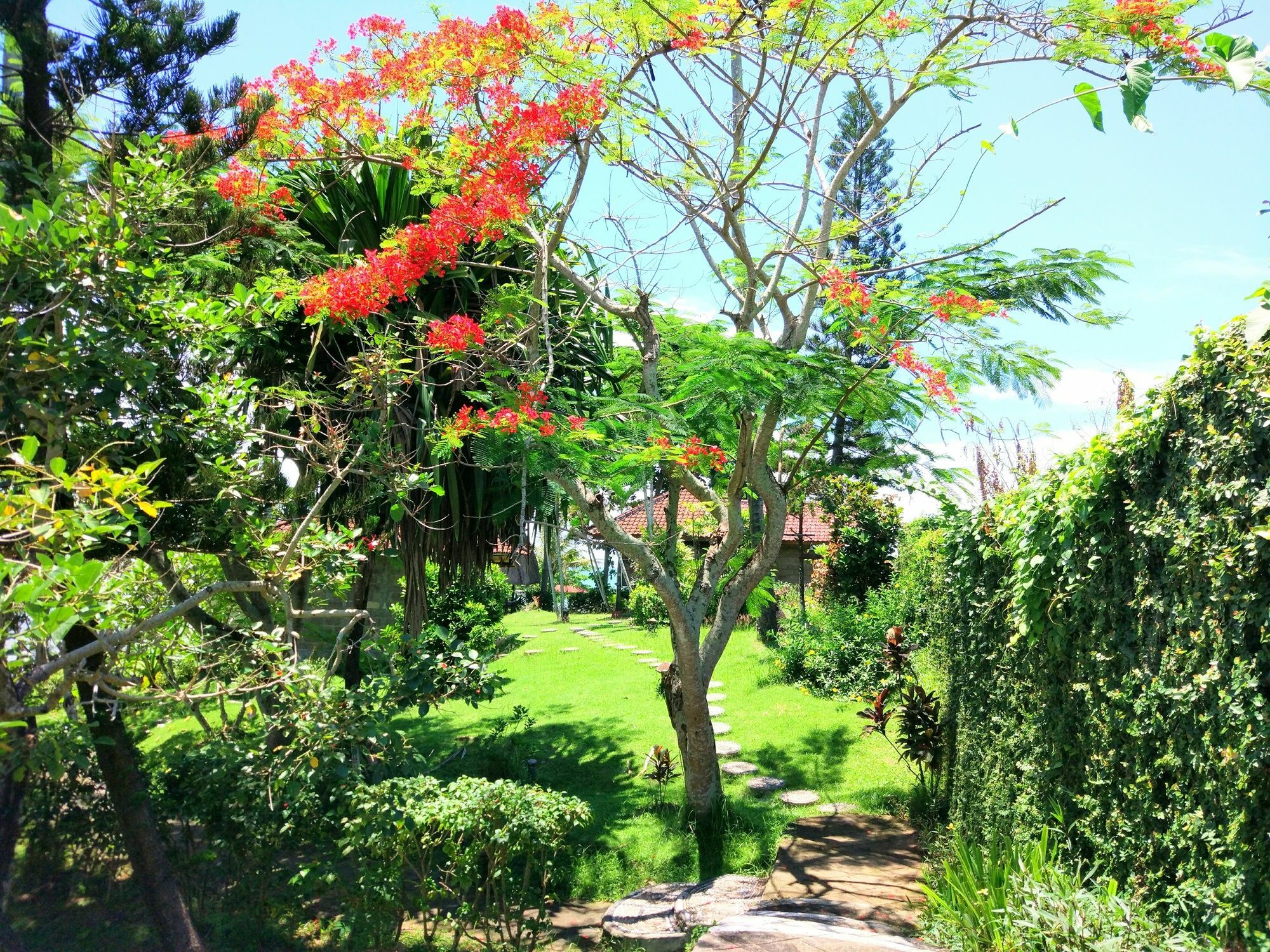 Gajah Mina Beach Resort Selemadeg  Zewnętrze zdjęcie