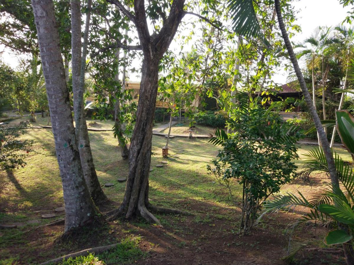 Gajah Mina Beach Resort Selemadeg  Zewnętrze zdjęcie